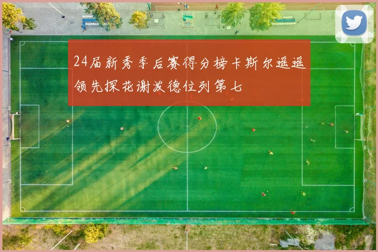 24届新秀季后赛得分榜卡斯尔遥遥领先探花谢泼德位列第七