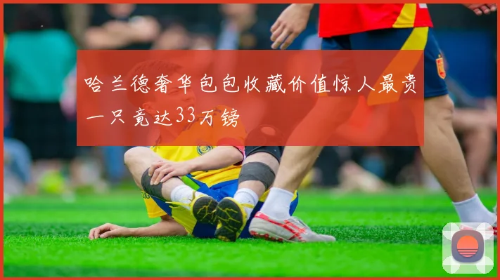 哈兰德奢华包包收藏价值惊人最贵一只竟达33万镑